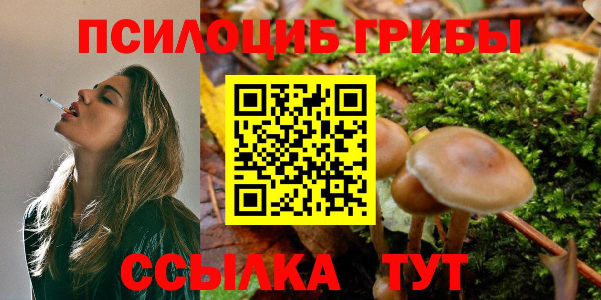 Псилоцибиновые грибы MAGIC MUSHROOMS Вольск
