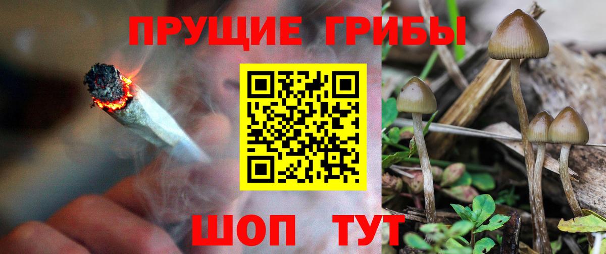 Галлюциногенные грибы мухоморы  Галлюциногенные грибы Psilocybine cubensis  Вольск  Вход с VPN 